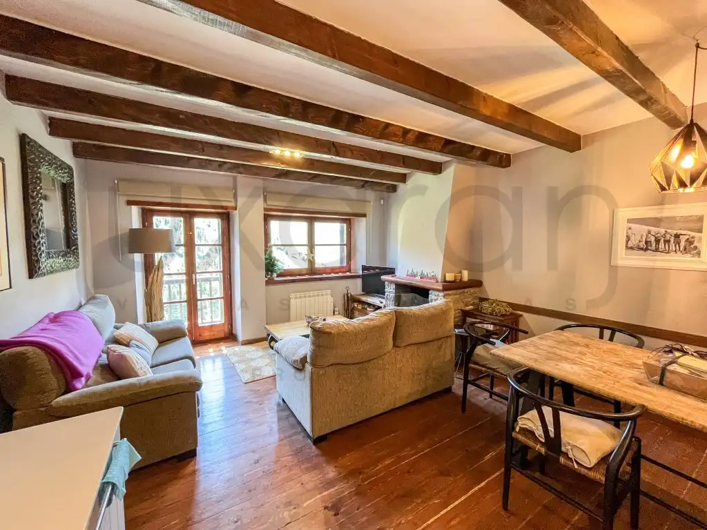 Sala d'estar de Apartament en venda en Naut Aran