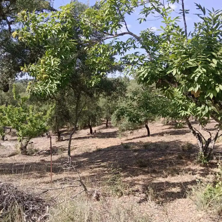 Casa rústica en venda a Fuenteheridos, imagen 2