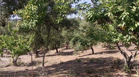 Foto 2 de Finca rústica en venta en Fuenteheridos, Huelva