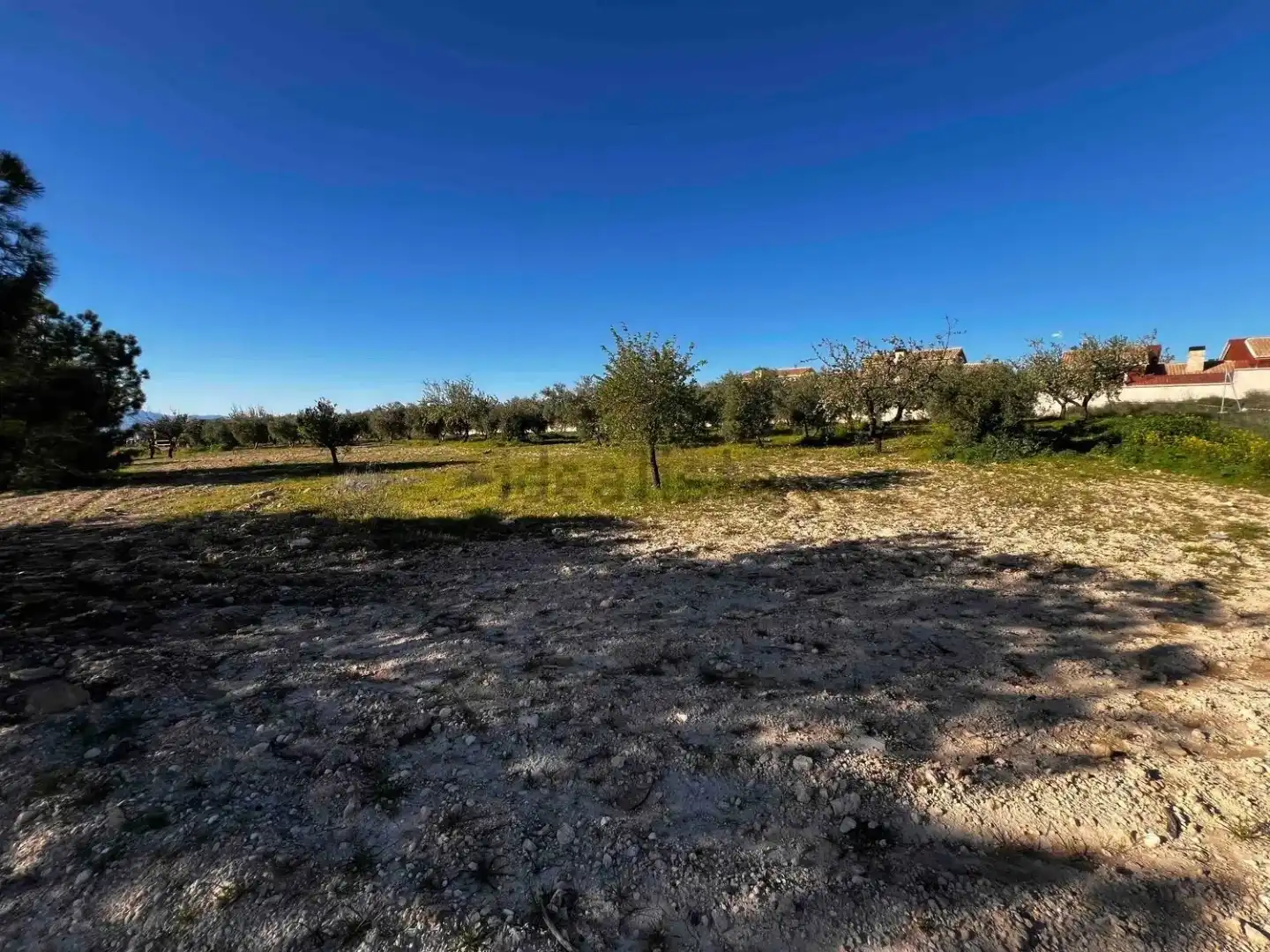 Land for sale in Gójar