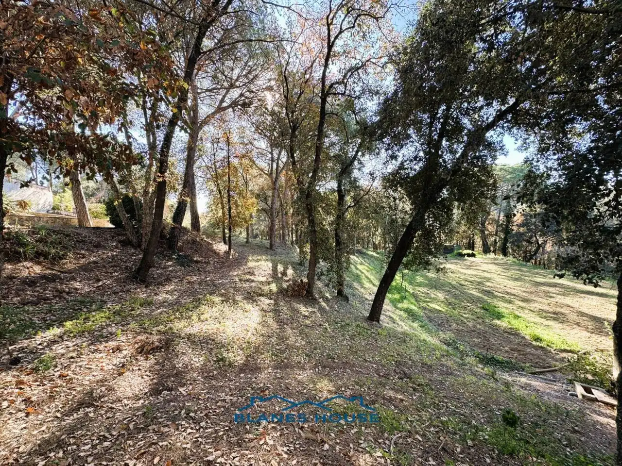 Finca rústica en venda en Sant Feliu de Buixalleu amb Calefacció, Jardí privat i Terrassa