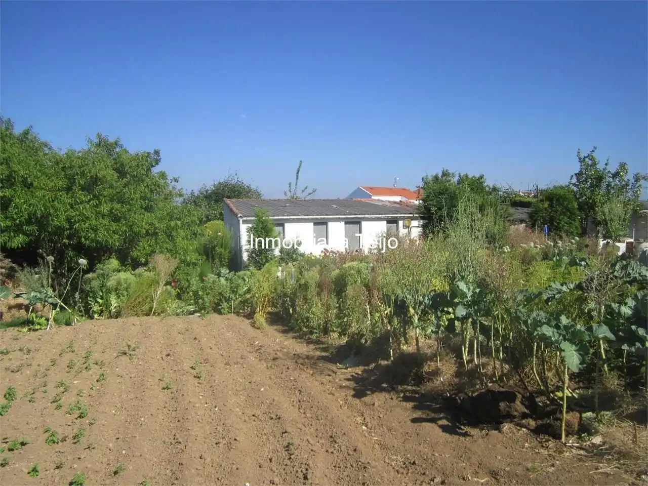 Casa o xalet en venda en Ferrol