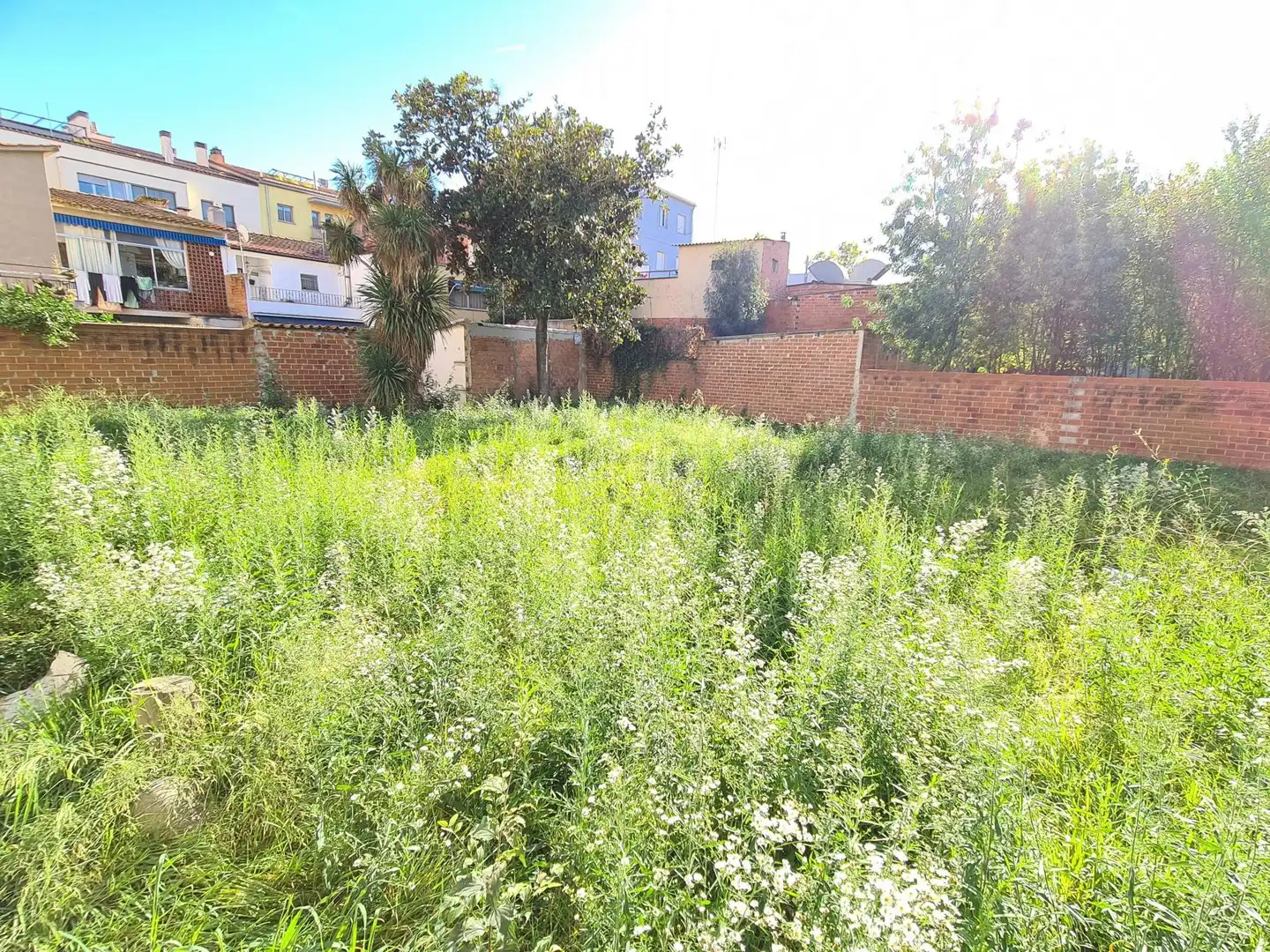 Terrenos y solares en venta en Mas Masó - Hospital, imagen 3