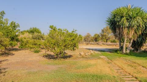 Photo 4 of House or chalet for sale in Palma de Mallorca - Camino de Can Xiscos, Establiments,  Palma de Mallorca