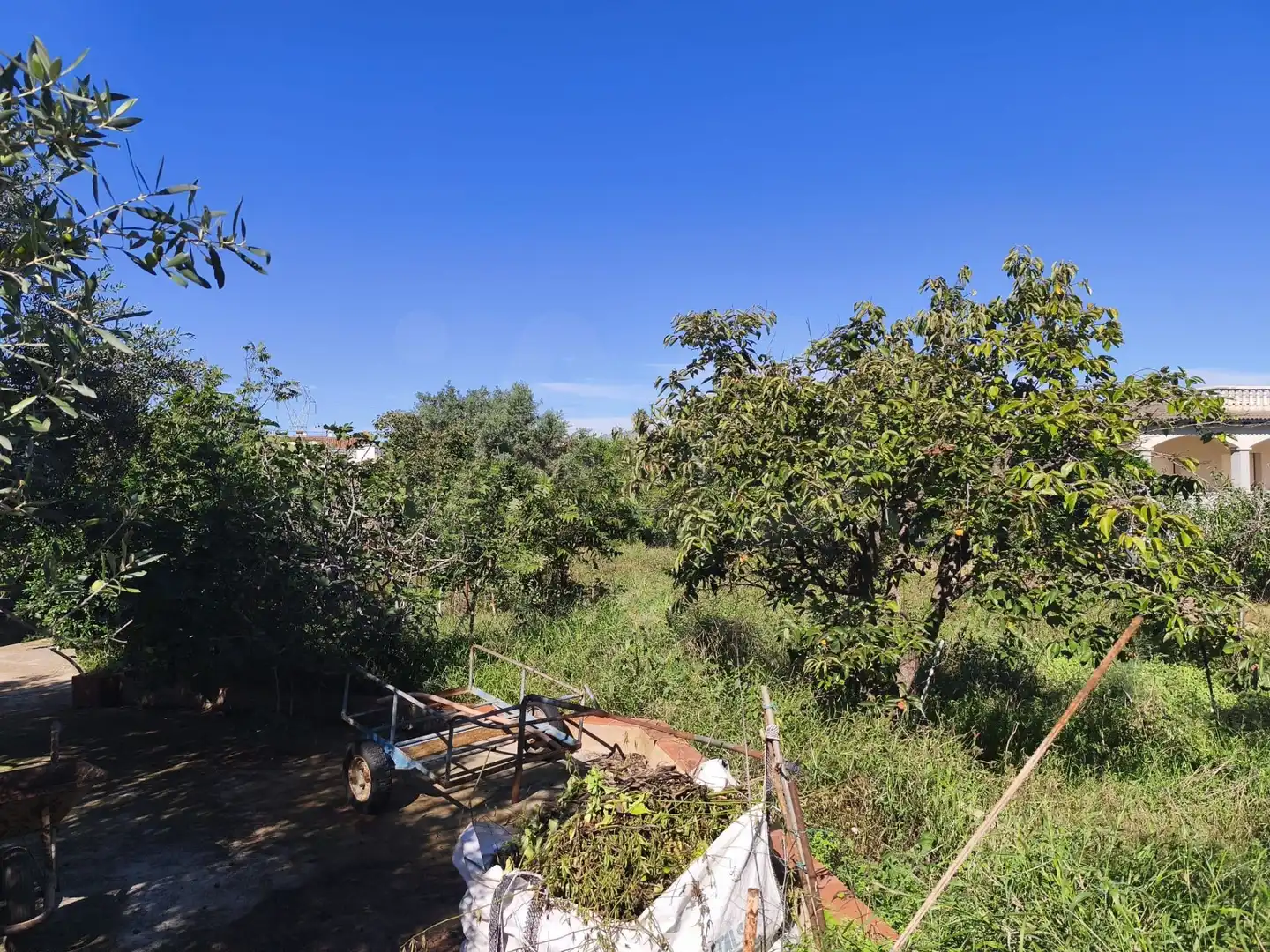 Casa amb piscina en venda a Santa Oliva, imagen 31