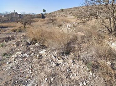 Terreno rustico in vendita a Hondón de los Frailes
