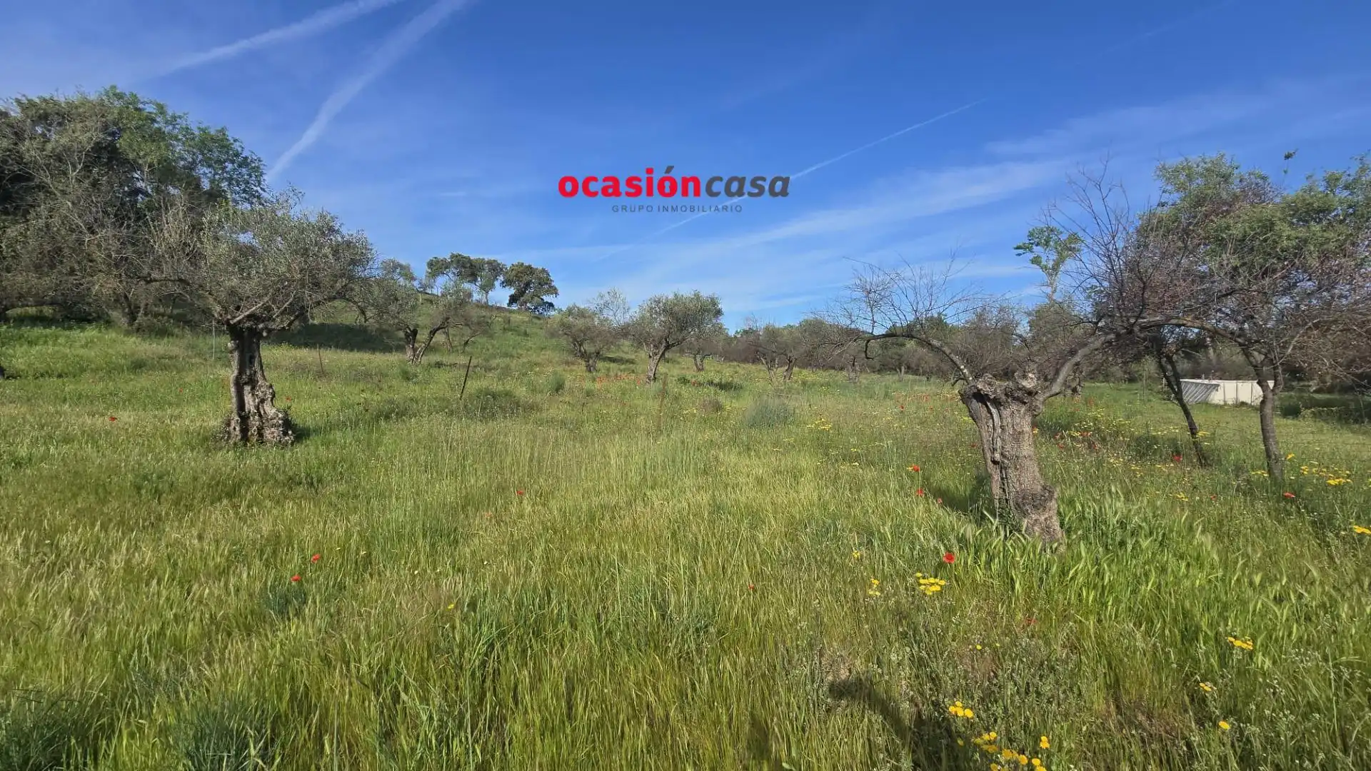 Casa in vendita a Belmez, imagen 2