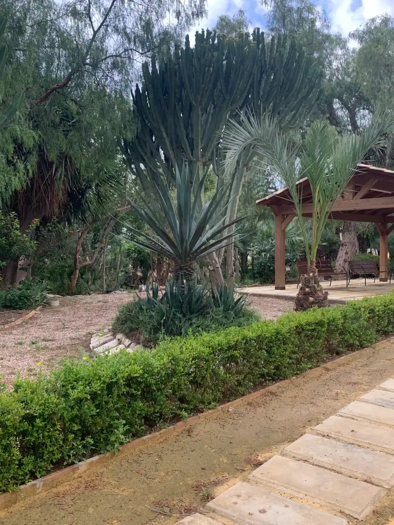 Jardín de Casa o chalet en venta en Cartagena