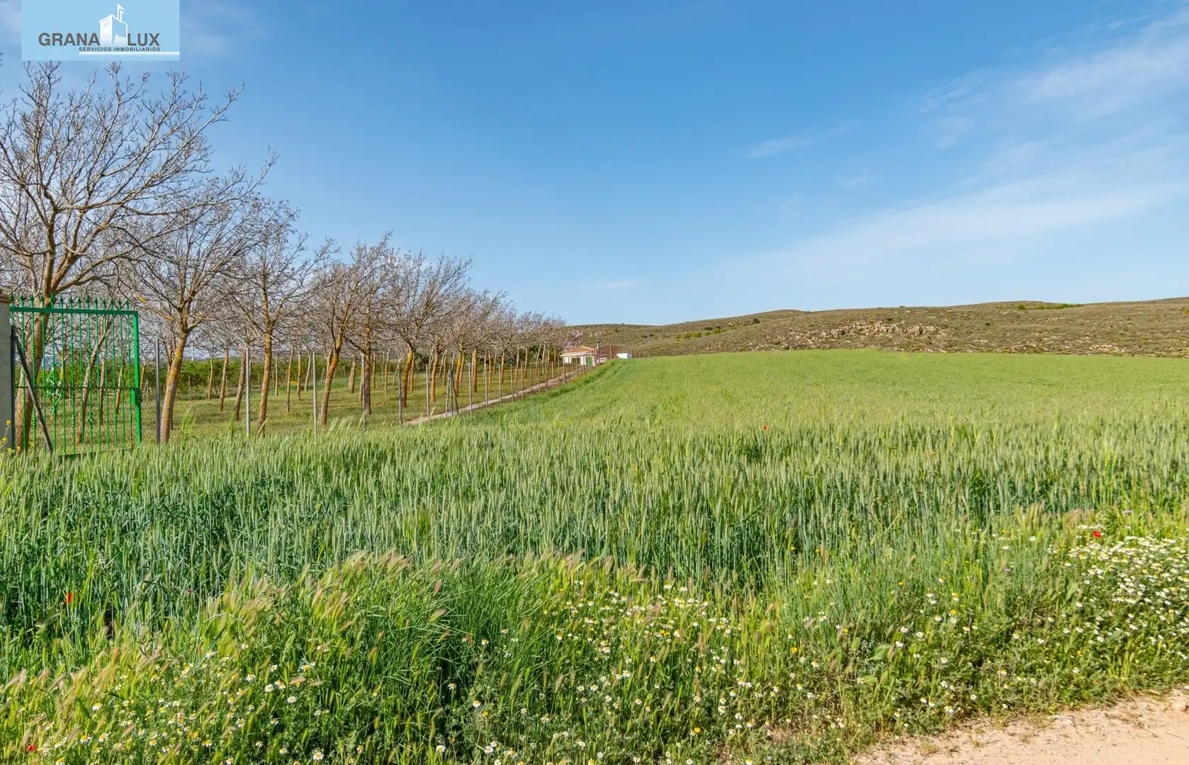 Rural land for sale in 18640, imagen 9