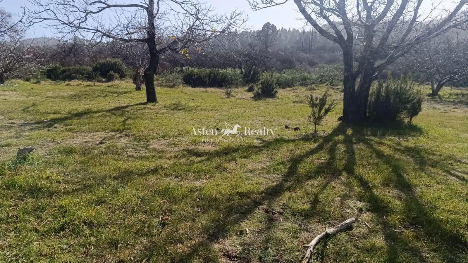 Terreno rústico en venta en La Matanza de Acentejo, imagen 4
