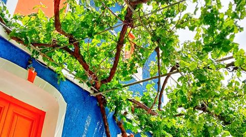 Foto 3 de Finca rústica en venda a Árchez, Málaga