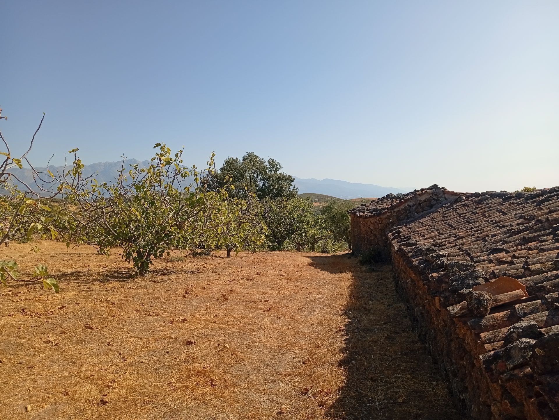 Terreno en venta en Madrigal de la Vera