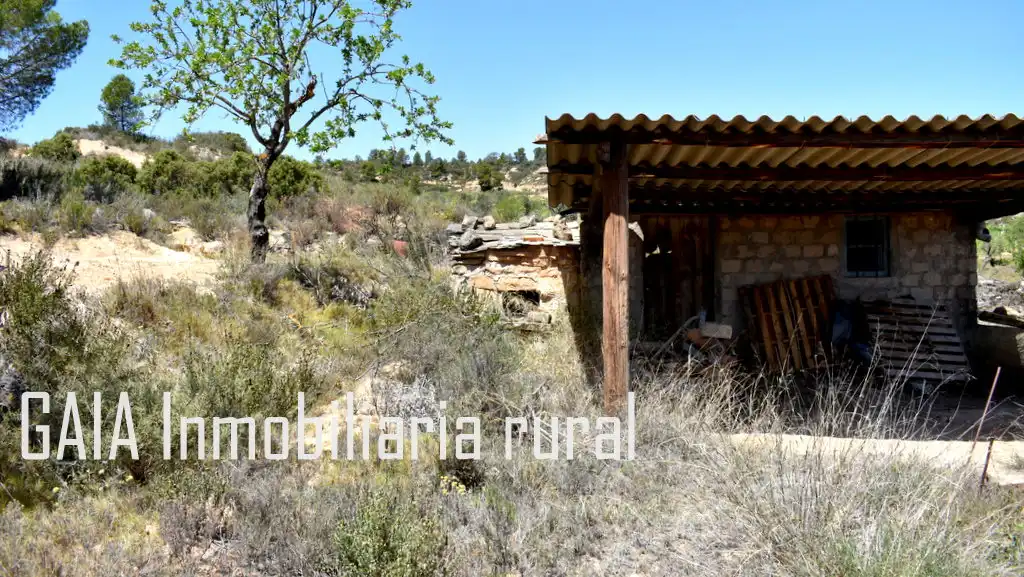 Finca rústica en venta en Mazaleón
