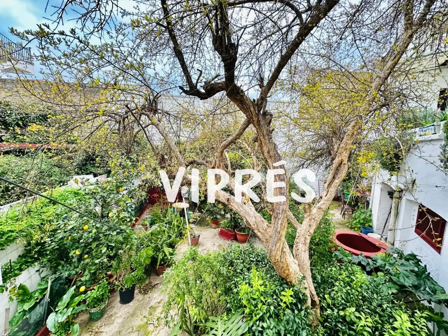 Jardín de Casa o chalet en venta en La Zarza (Badajoz) con Trastero