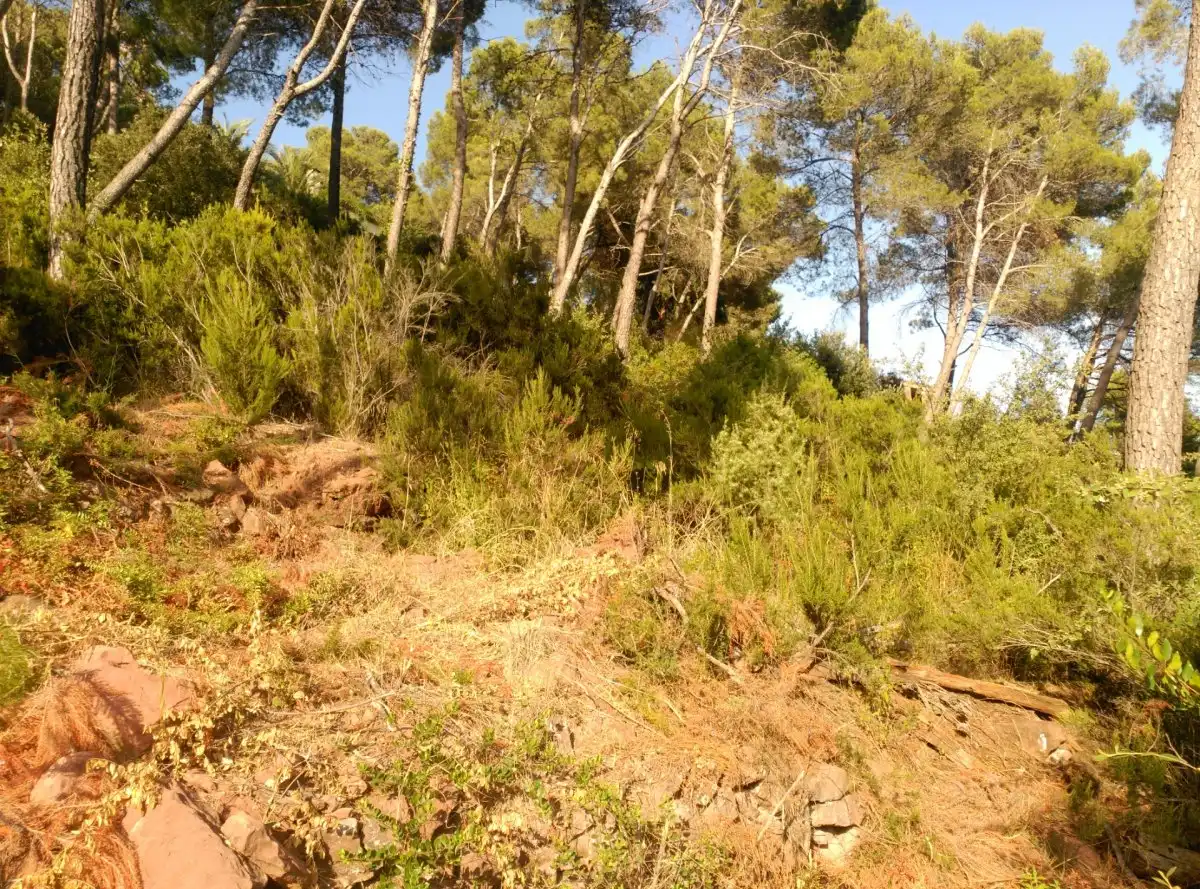 Terreni e lotti in vendita a Corbera de Llobregat, imagen 16