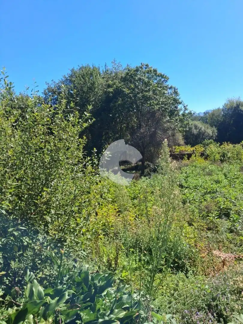 Casa amb jardí en venda a Entrimo, imagen 3