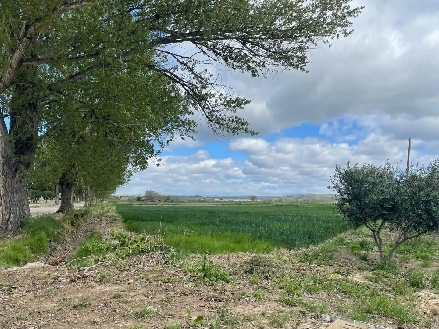 Terreni e lotti in vendita a Ejea de los Caballeros, imagen 6