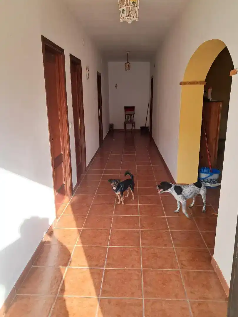 Casa o chalet en venta en Montoro
