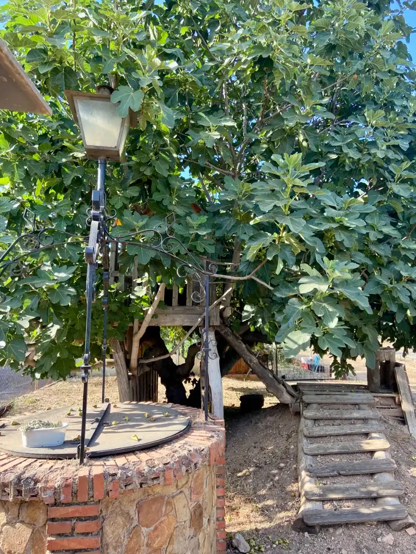 Jardín de Casa o chalet en venta en Ciudad Real con Aire acondicionado, Calefacción y Jardín privado