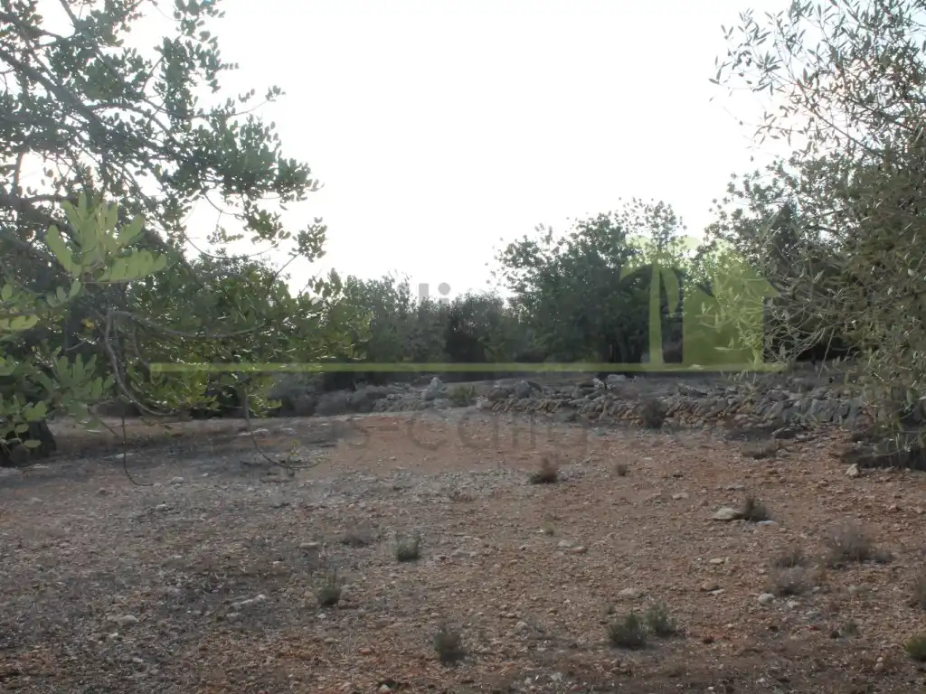 Rural land for sale in Poligono Poligono 50, imagen 5