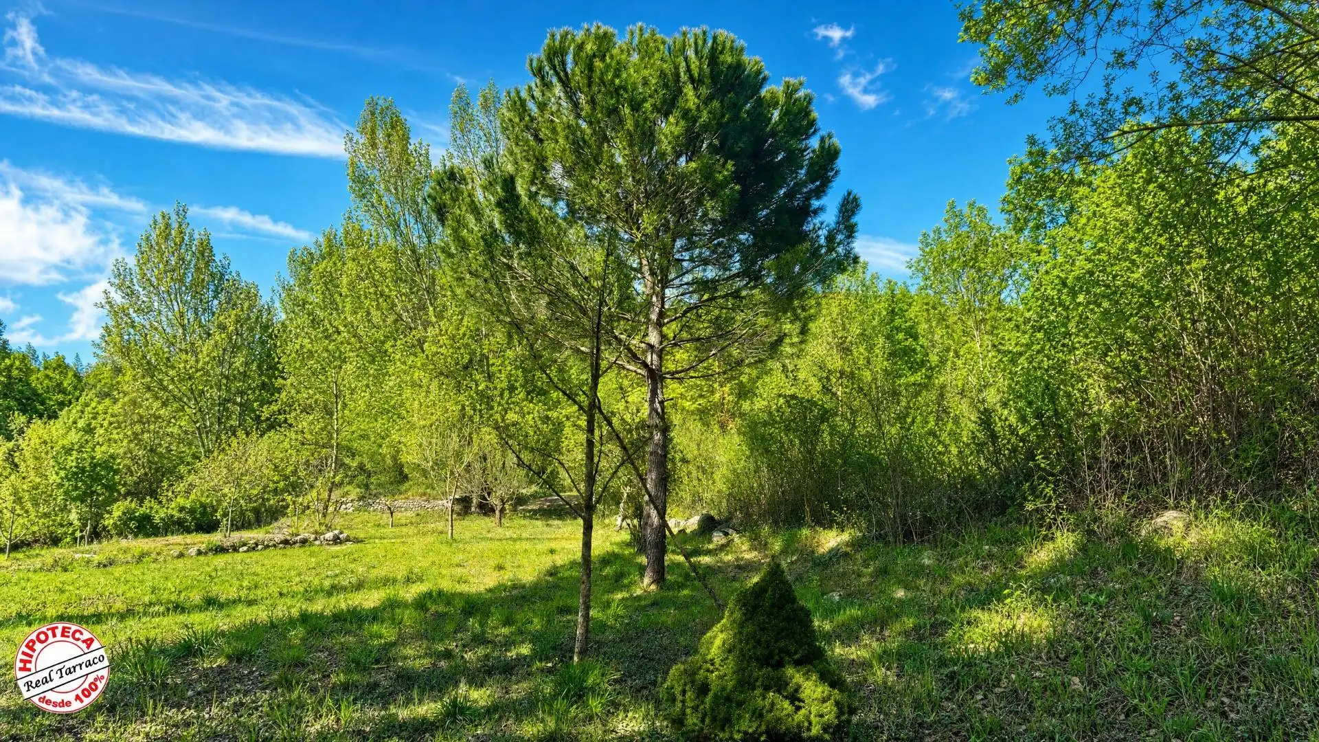 Terreno rústico en venta en Mont-ral, imagen 7