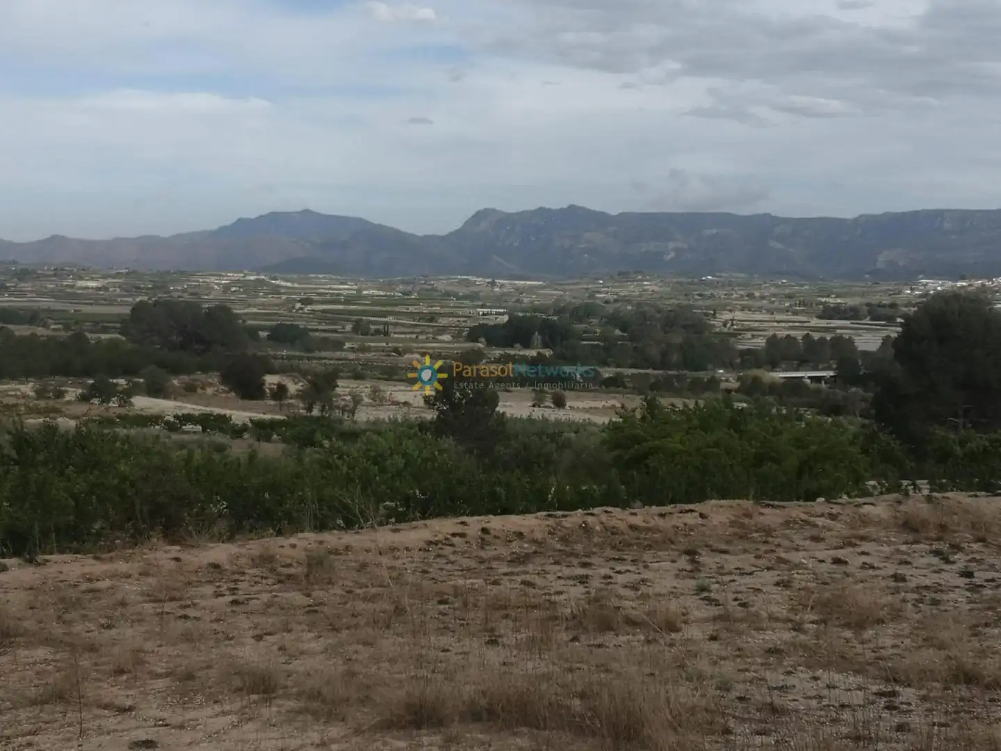 Rural land for sale in Benigànim, imagen 13