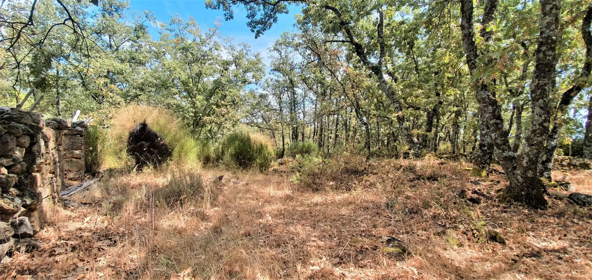 Terreni e lotti in vendita a Jarandilla de la Vera, imagen 6