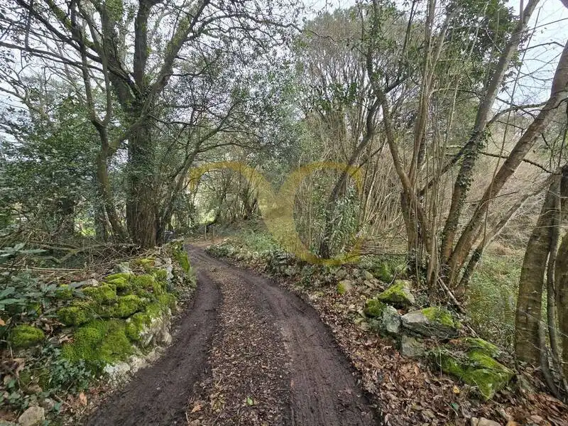 Terreno rustico in vendita a Balmori, imagen 17