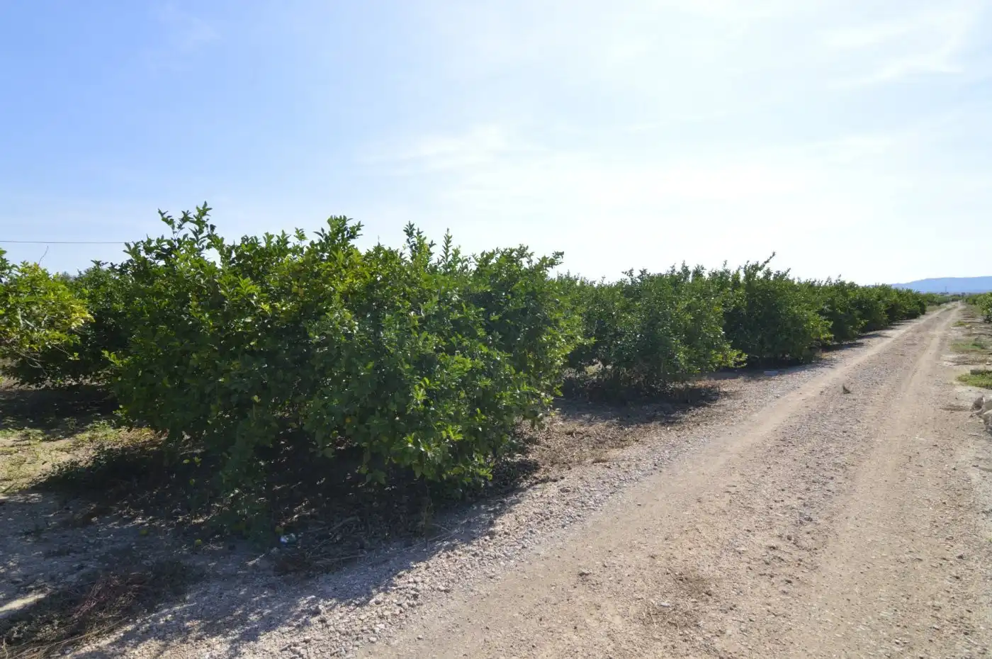 Residencial en venta en N/A, -1, Santomera