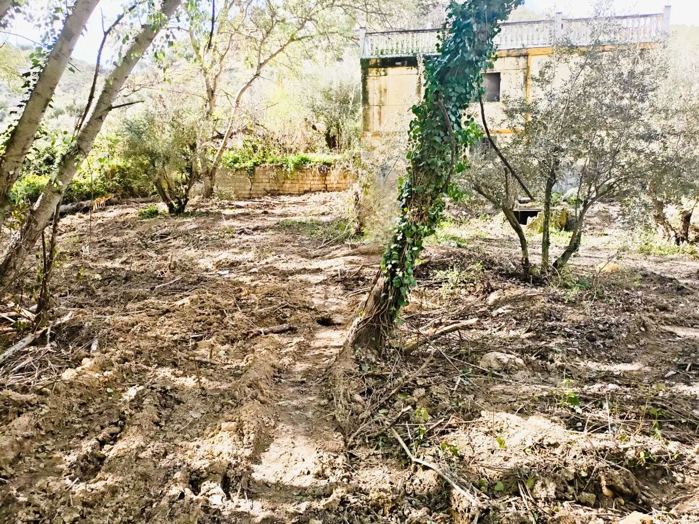 Grundstücke zum Verkauf in Jaén