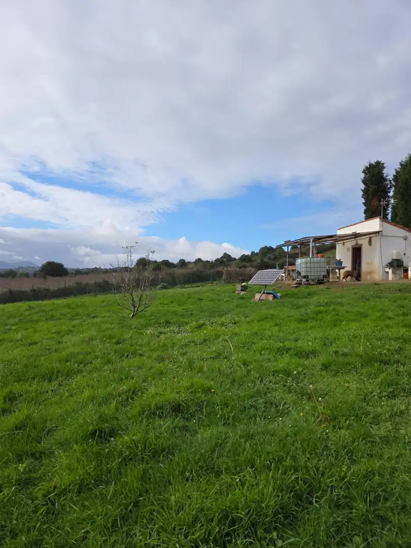 Terreno en venta en Carreño