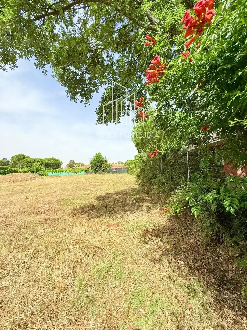 Residential land for sale in Mimbre, imagen 12