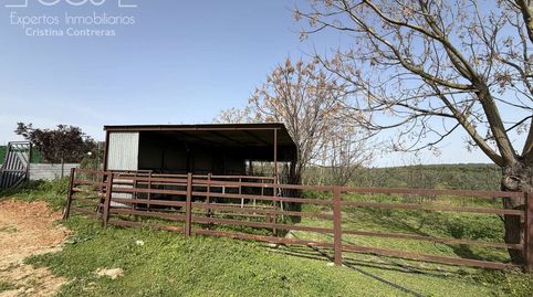 Foto 4 de Finca rústica en venda a Pilas, Sevilla