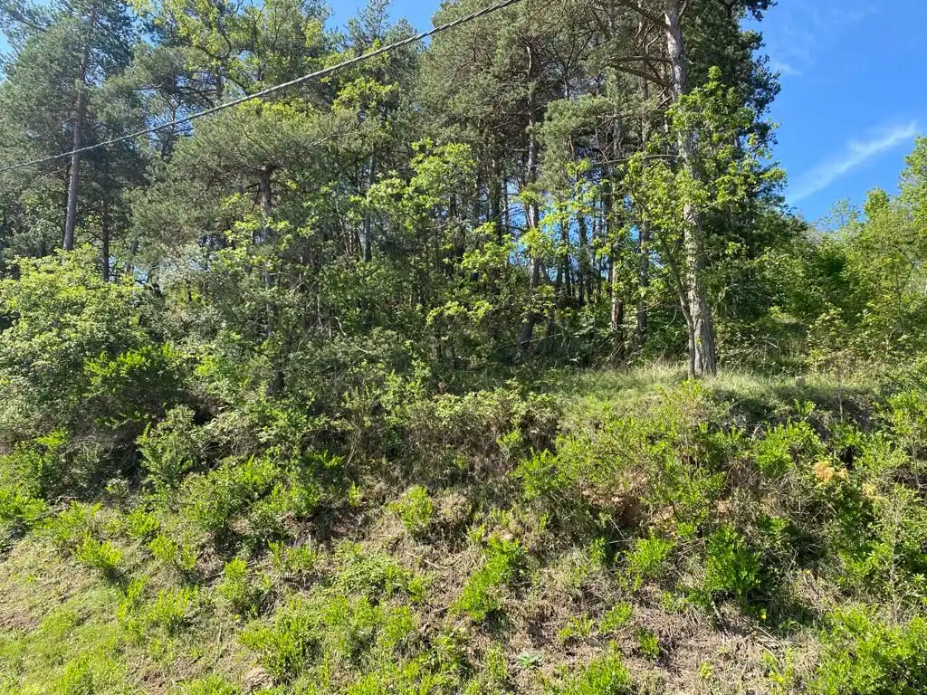 Residential land for sale in Muntanyola, imagen 2