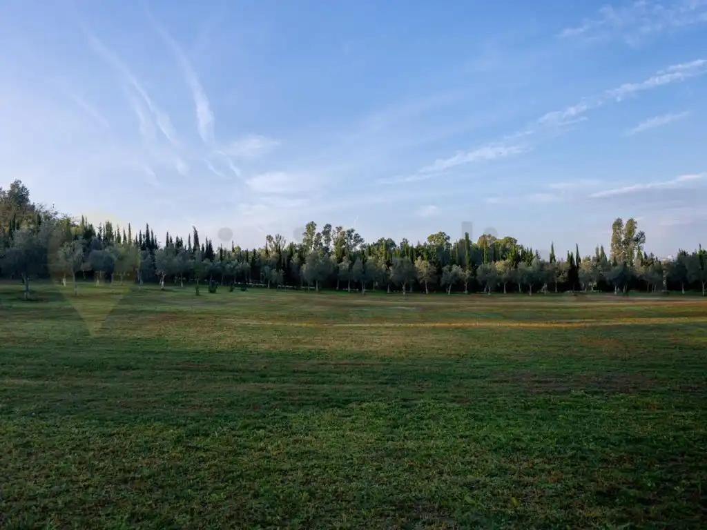 Houses for sale in Jerez de la Frontera