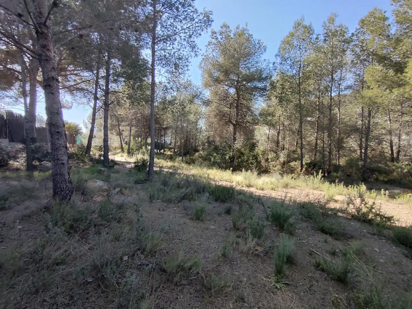 Terreno en venta en Alfara de la Baronia