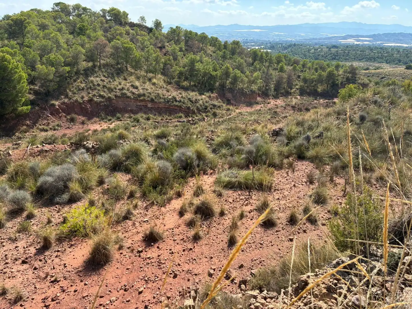 Casa o xalet en venda en Aledo