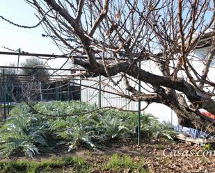 Jardí de Finca rústica en venda en  Zaragoza Capital amb Aire condicionat, Calefacció i Jardí privat