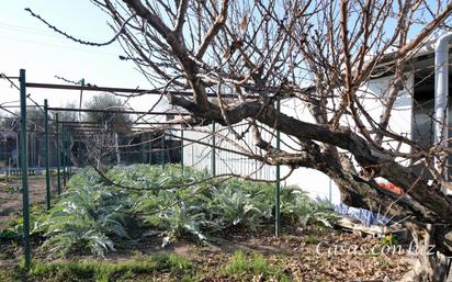 Jardí de Finca rústica en venda en  Zaragoza Capital amb Aire condicionat, Calefacció i Jardí privat