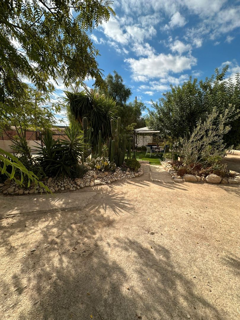 Garden of Country house for sale in Crevillent  with Air Conditioner, Private garden and Terrace