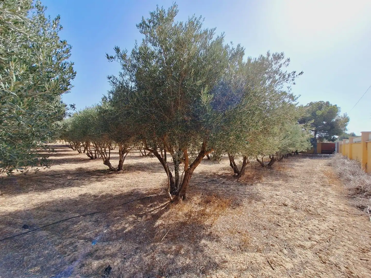 Casa o xalet en venda en Alicante / Alacant amb Jardí privat, Terrassa i Traster