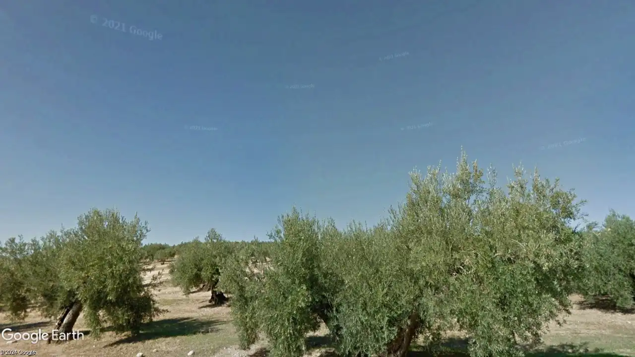 Terreni e lotti in vendita a Torredonjimeno, imagen 4