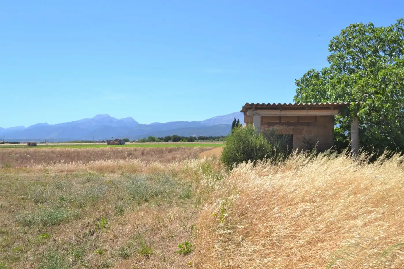 Casa rústica en venta en Muro, imagen 3