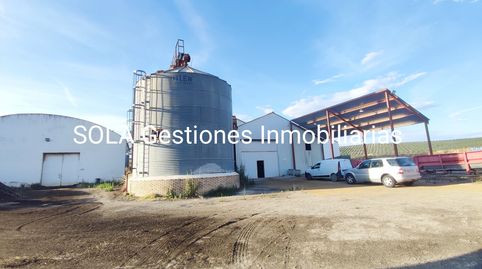 Naves SANTA CABEZA