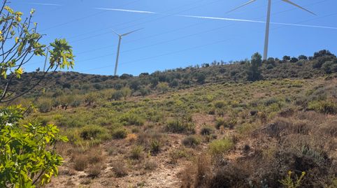 Finca en Padul zona de almaizar, immagine 3