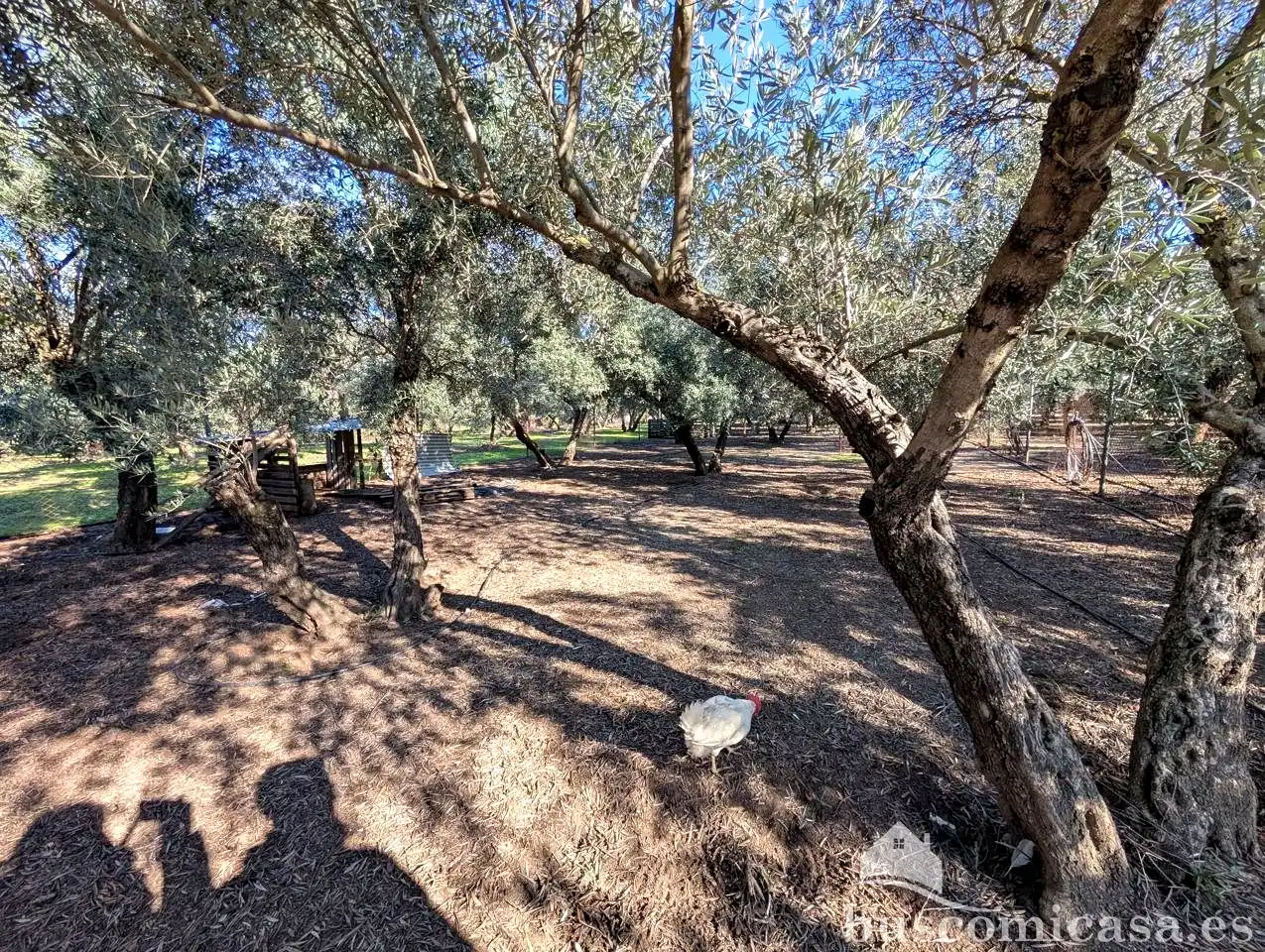 Casa rústica con piscina en venta en Piedra Rodadera, imagen 22