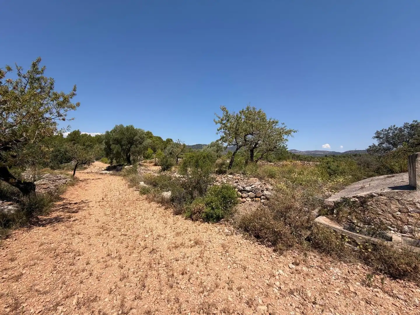 Terreny rústic en venda a Sierra Engarcerán, imagen 4