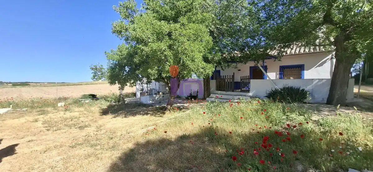 Finca rústica en venda en Valdepeñas amb Calefacció