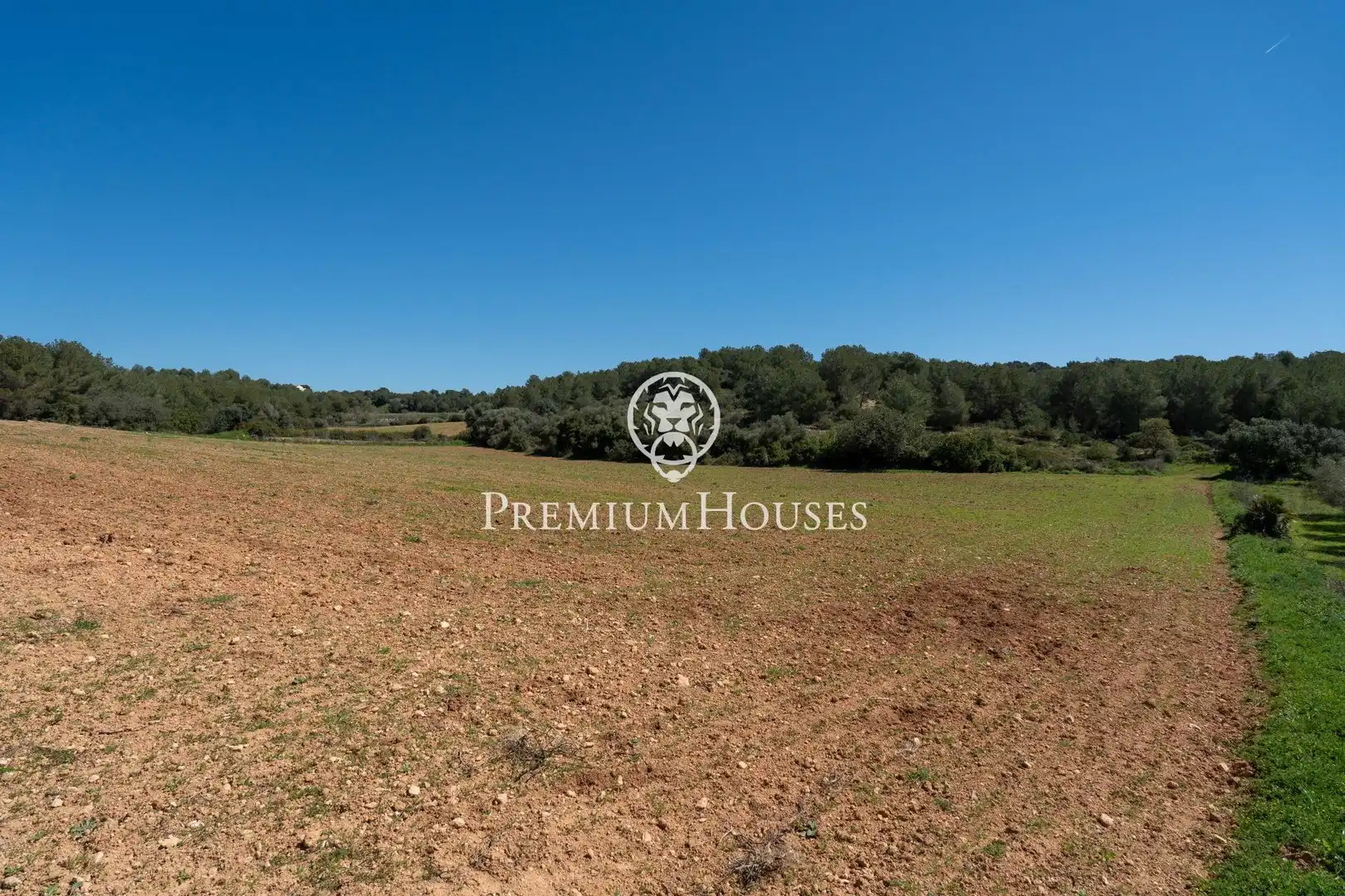 Casa rústica con jardín en venta en Nord, imagen 7