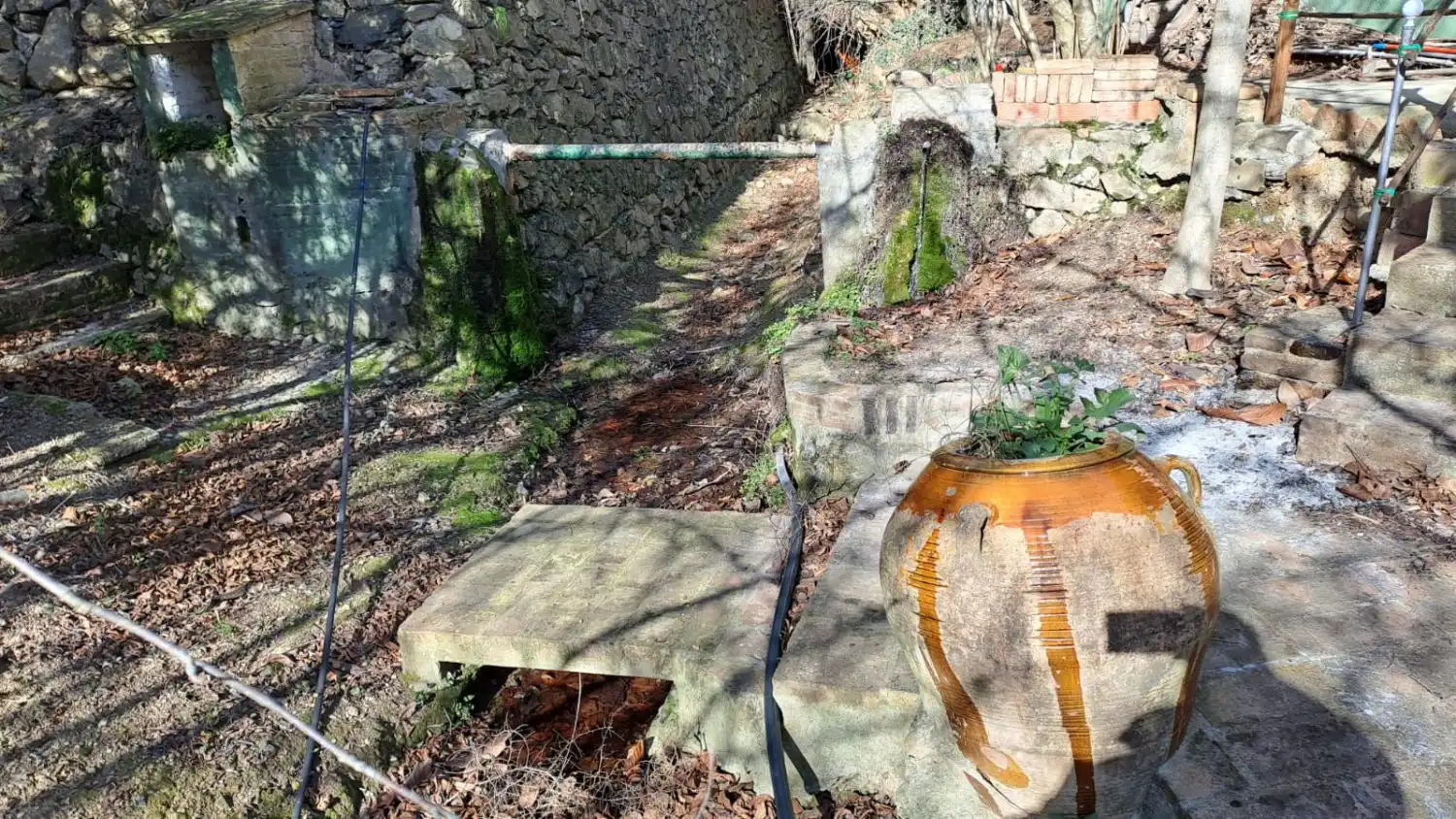 Jardí de Finca rústica en venda en Castellvell del Camp